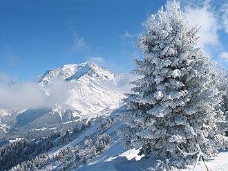 The Mont-Blanc.