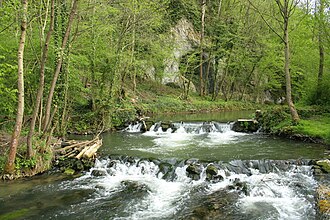 Haut-le-Wastia.