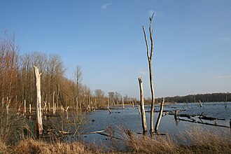 The Van Gheyt pond in Hensies, Belgium