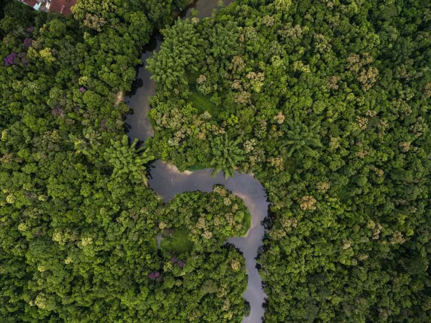 Amazon Rainforest in Brazil