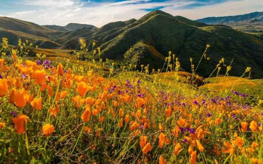 Antelope Valley California