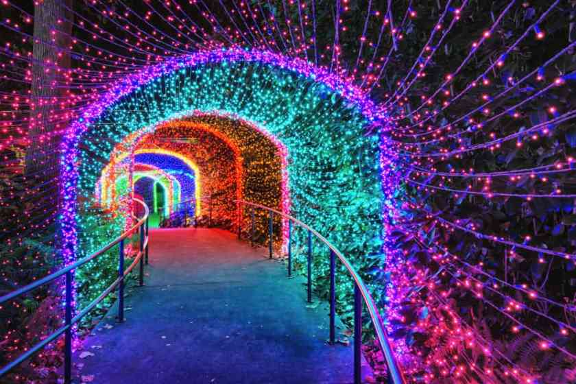 Atlanta Botanical Gardens