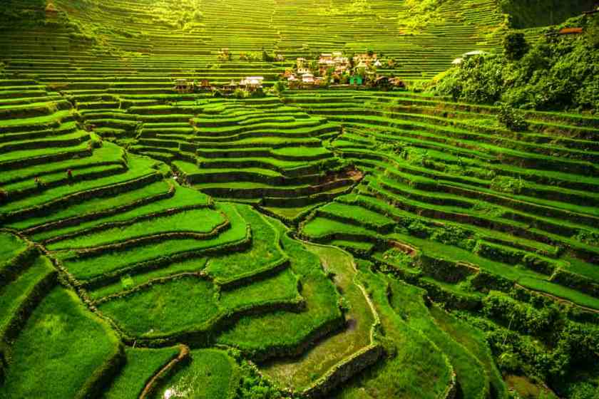 Banaue Rice Terraces