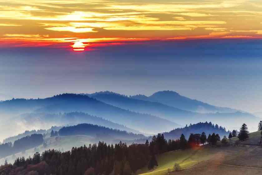 Black Forest shrouded in mist at sunrise