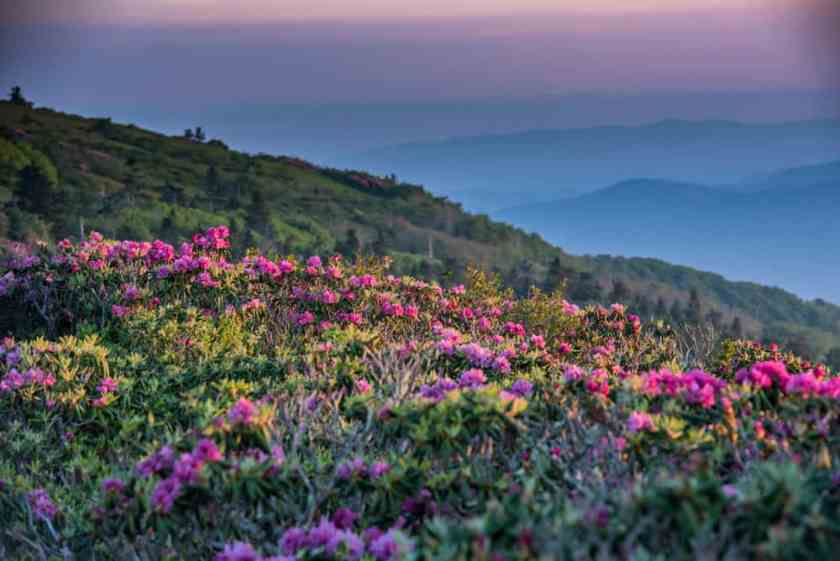 Blue Ridge Parkway National Park