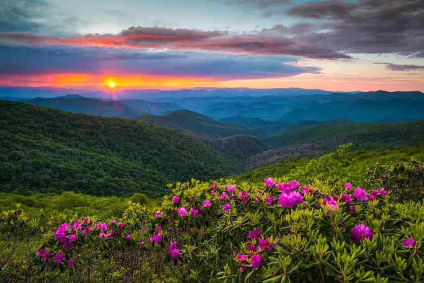 Blue Ridge Parkway in April