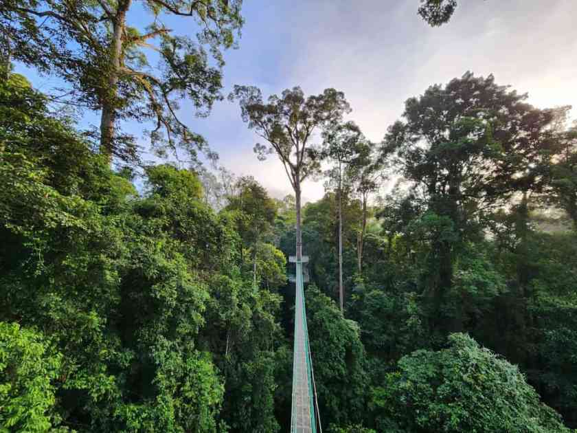 Danum Valley