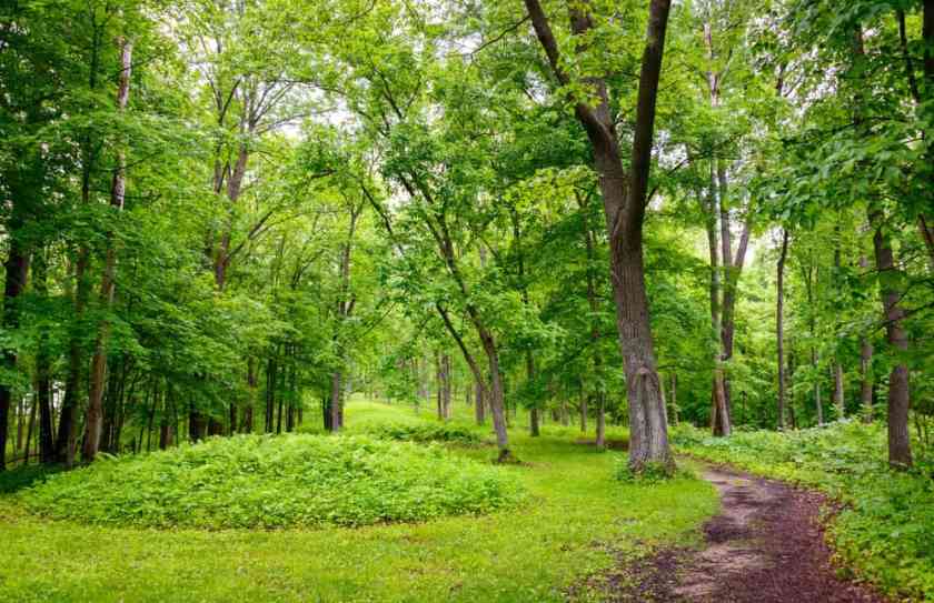 Effigy Mounds National Monument