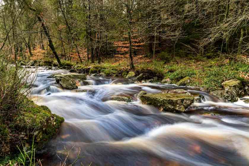 Eifel Nature Park - beautiful scenery in Belgium