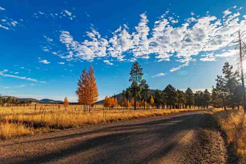 Flagstaff, Arizona Road