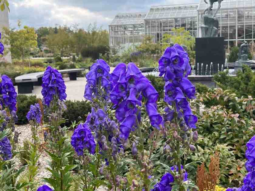 18 Most Beautiful Places to Visit in Michigan 34 Frederik Meijer Gardens and Sculpture Park