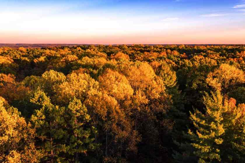 Hoosier National Forest