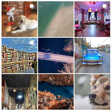 Instagram GlobalGrasshopper