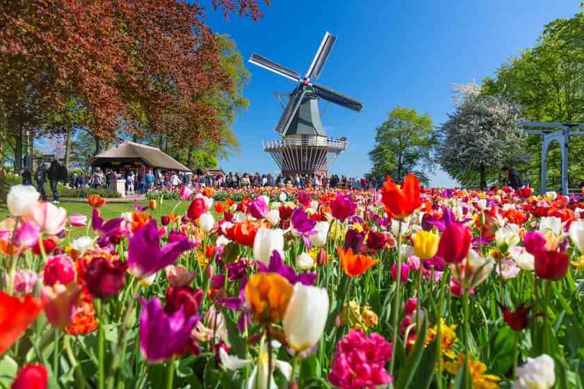 Keukenhof Gardens