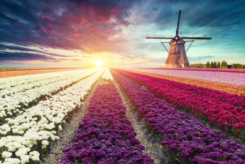 Kinderdijk Netherlands