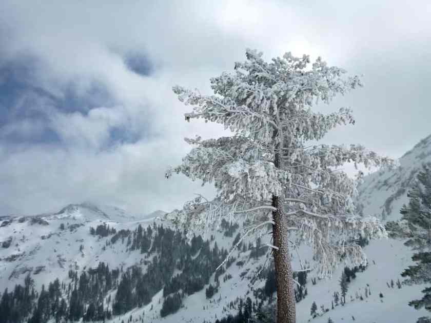 20 Amazing Places to Visit in February in the USA 31 Kirkwood California winter resort