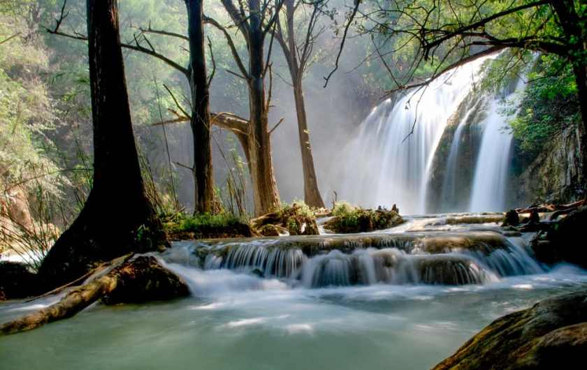 Lacandon Jungle