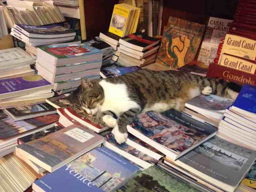 Libreria Acqua Alta Bookshop