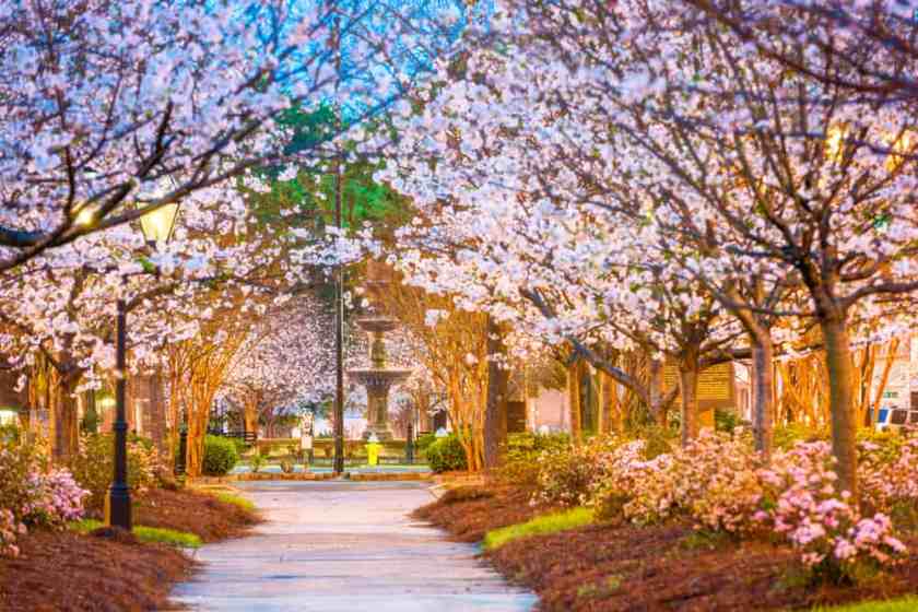 Macon - beauty spots in Georgia