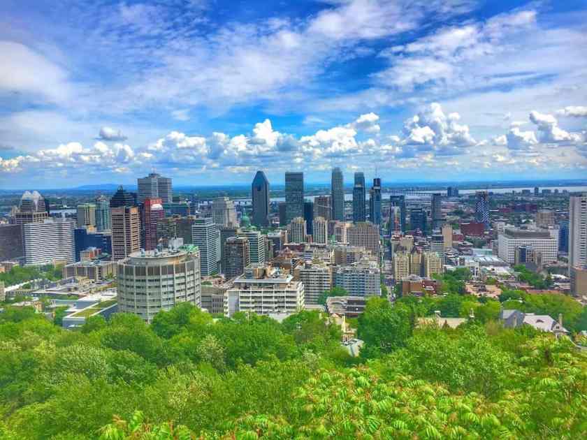 Mont Royal Park Views