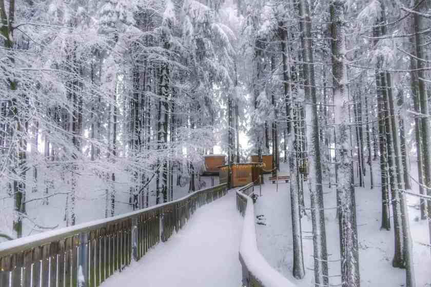My photo of a snowy Bavarian Forest in December 2024