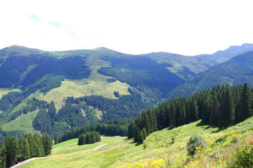 My photo of Alpbach taking summer 2024
