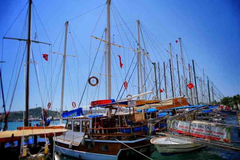 My photo of Bodrum boats in the harbour 2024