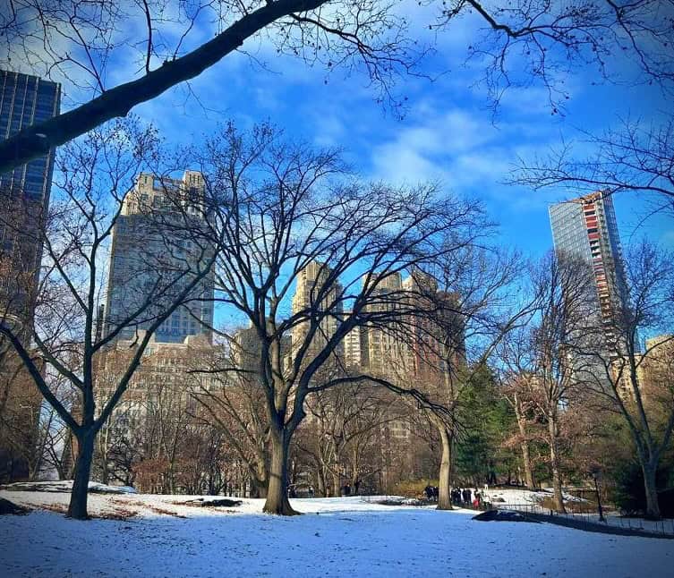 My photo of Central Park taken in Winter 2025