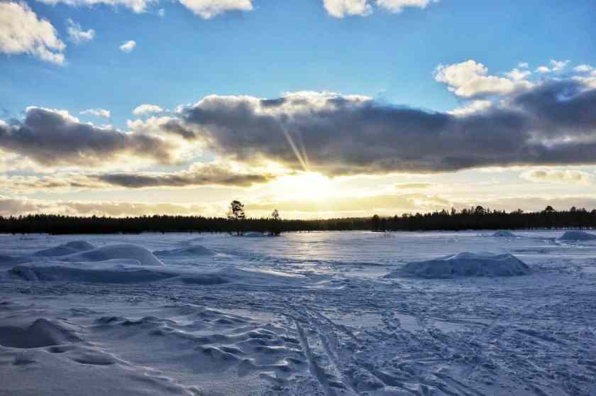 My photo of Kevo Strict Nature Reserve taken in winter 2023