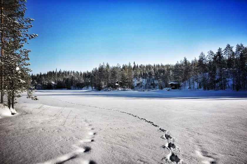 My photo of my snowshoeing walk near Saariselkä near Arctic Resort Kakslauttanen taken Feburary 2024