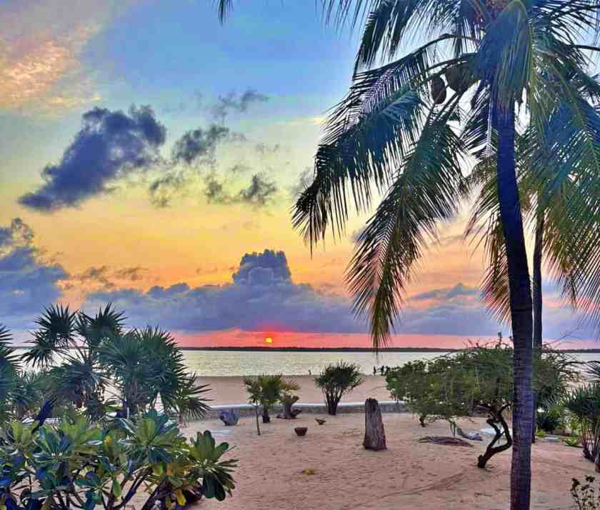 My photo of Playa Uvita taken January 2025