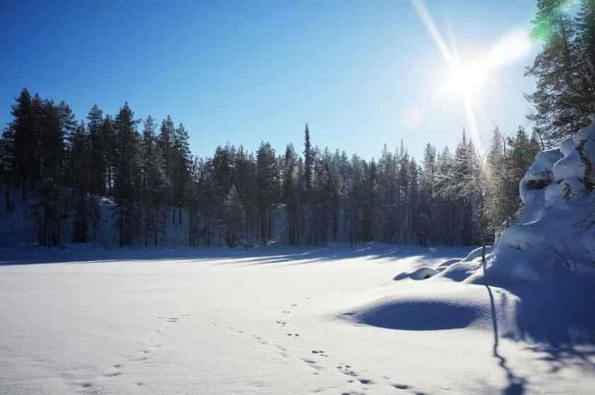 My photo of Repovesi National Park taken in winter 2023