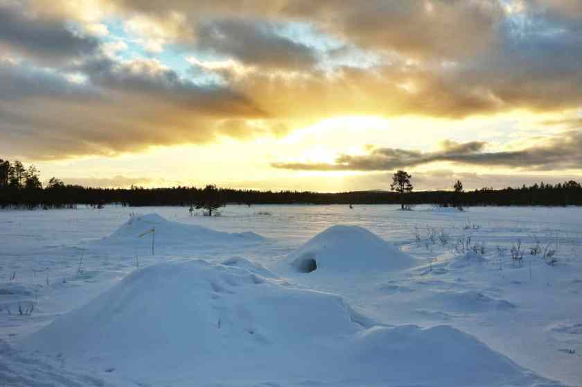 My photo of Saariselkä snowy landscapes - it was a beautiful wilderness! 