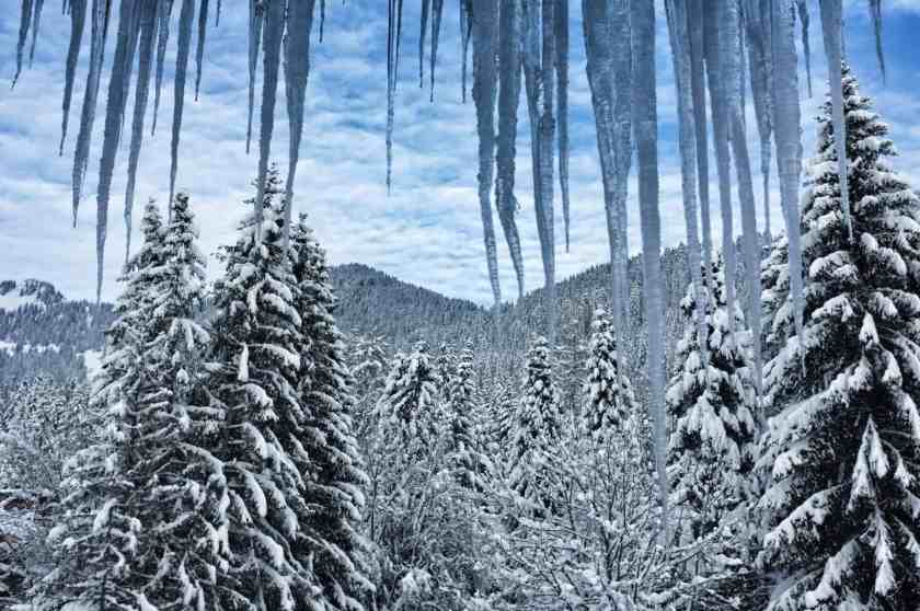 My photo of Swiss National Park taken in 2023