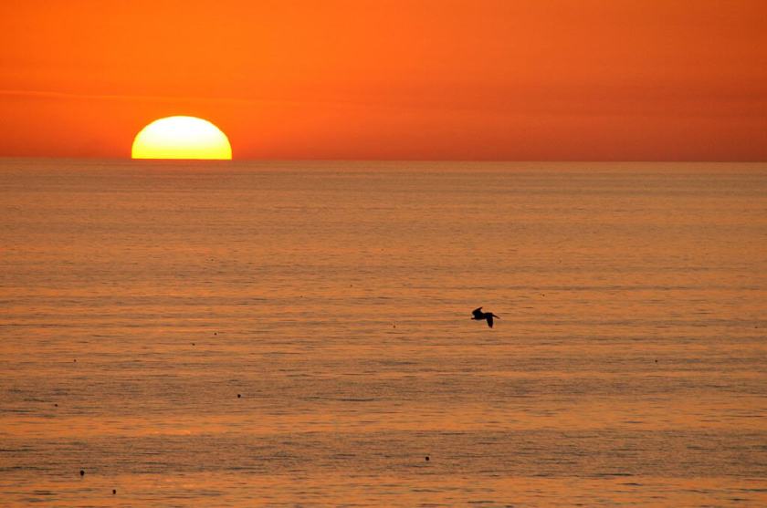My photograph of a Florida sunset