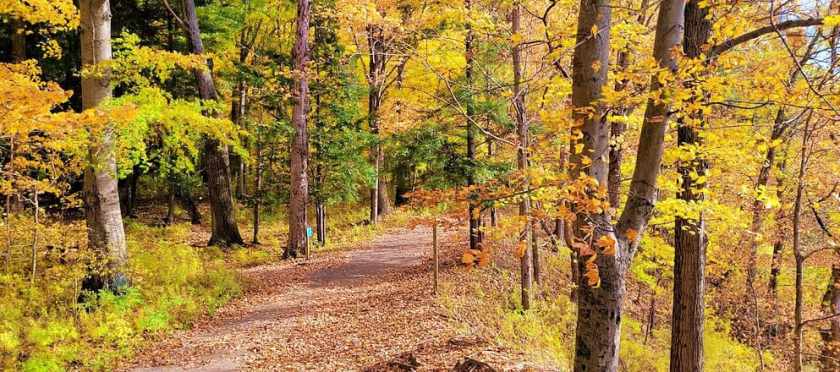 Brown County State Park in the fall in Indiana