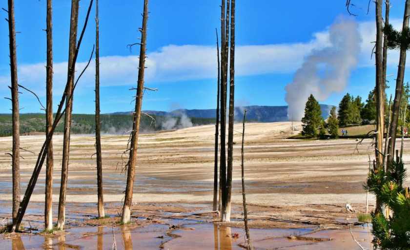 My photograph of steaming geothermal vents taken in Yellowstone National Park