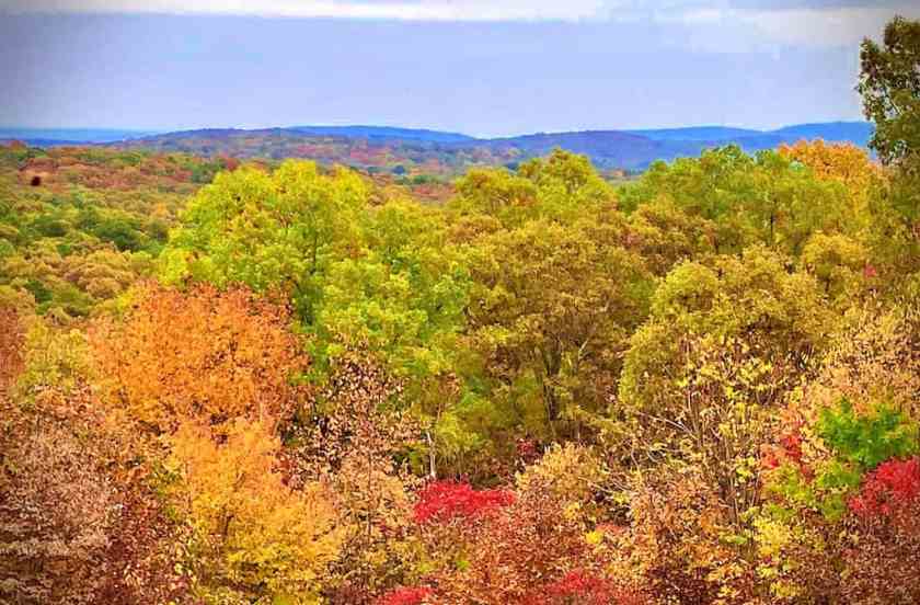 Taum Sauk Mountain State Park Tree Top reviews