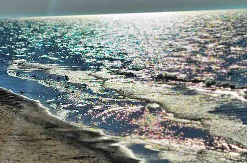 Lake Michigan Beach My shot of Lake Michigan Beach