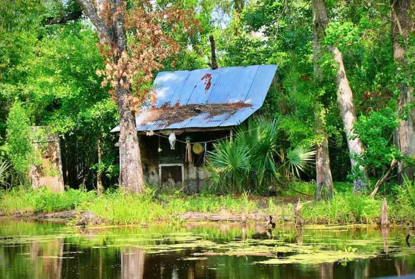 My snap of a swamp shack in Caddo Lake