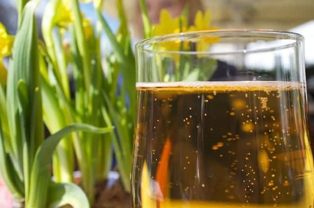 A Danish craft brew in Tivoli Bar & Lounge