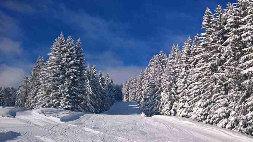 A snowy Payette National Forest in winter
