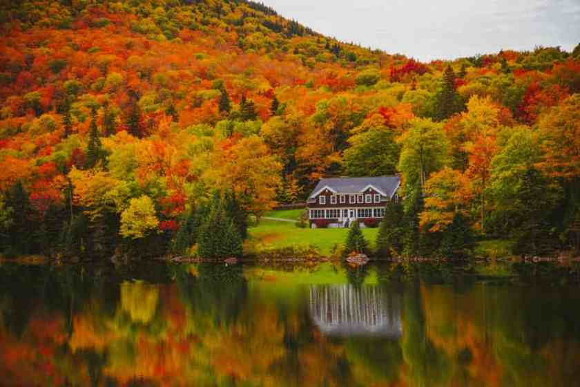 New England Foliage