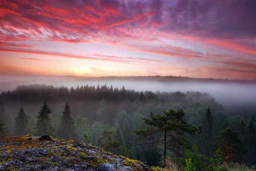 Nuuksio National Park Finland
