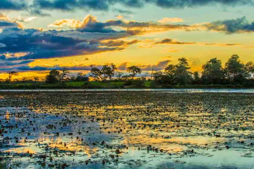 Pantanal - places to visit in Brazil