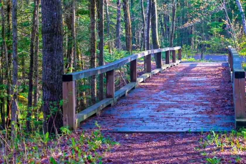 Pattison State Park