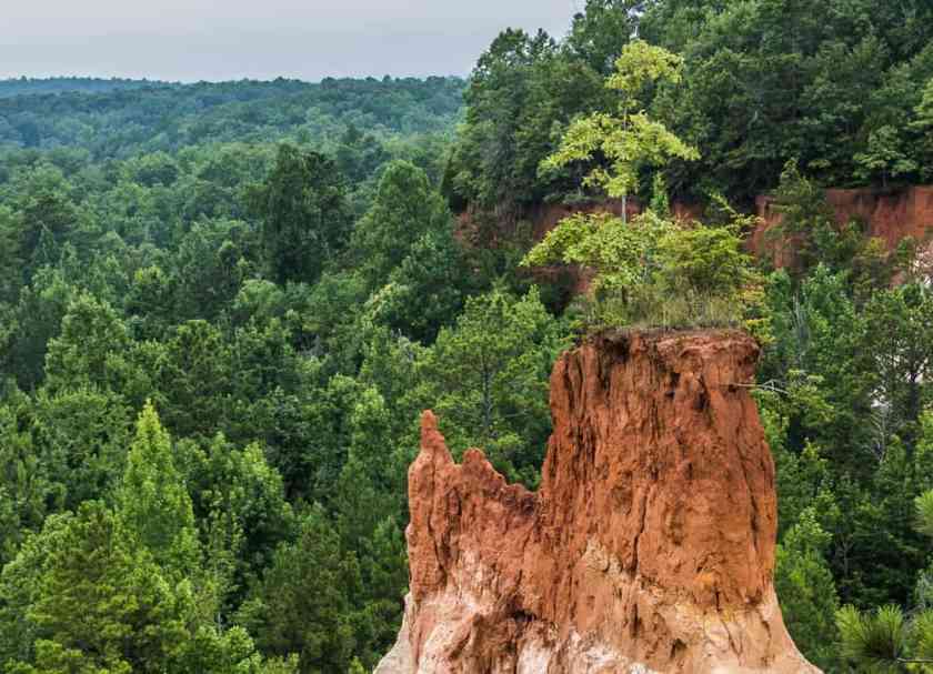 Providence canyon Georgia
