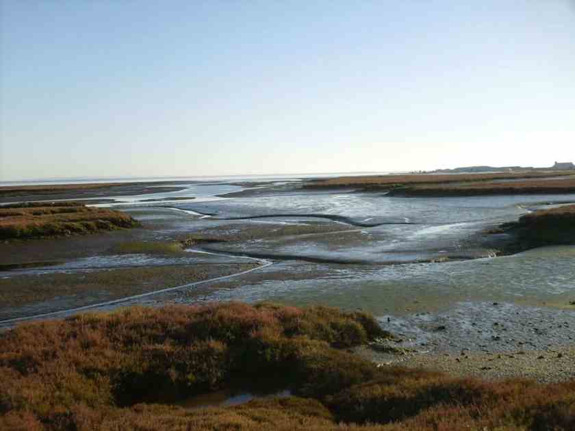 sado estuary portugal