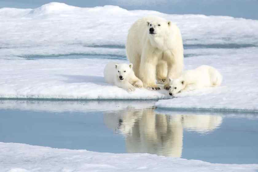 Svalbard - a stunning place to visit in Norway