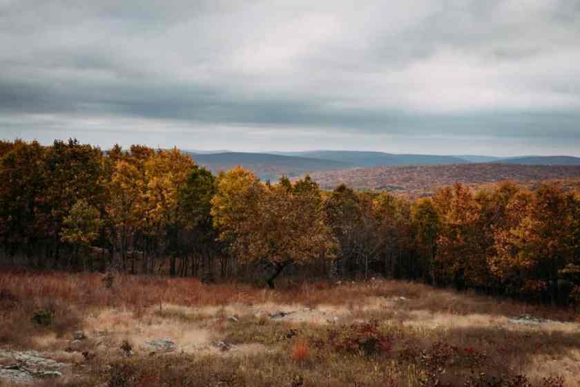 Taum Sauk Mountain State Park